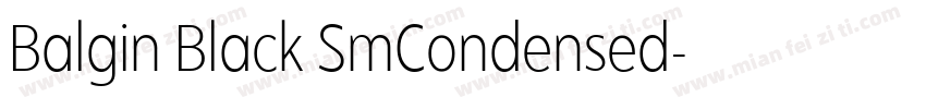 Balgin Black SmCondensed字体转换
